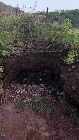 The video shows a dark, cavernous hole in the ground, surrounded by dense vegetation and loose soil. The opening of the hole is irregular and appears to have been recently dug or eroded. Inside the hole, the ground is dark and appears to be composed of dirt and debris. There are some branches and twigs strewn around the entrance of the hole, possibly used to cover it or as part of the surrounding environment. The overall impression is one of a natural formation or an abandoned excavation site, possibly in a rural or wild setting.