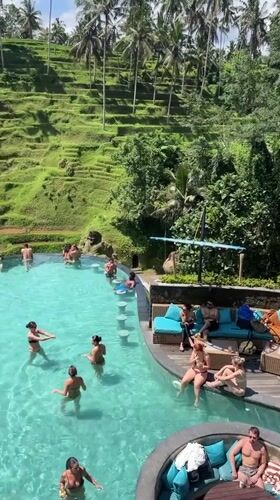 Resort guests enjoy pool activities amid Bali rice terraces