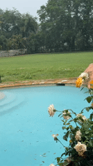 Rain creates ripples on backyard pool in Davie Florida