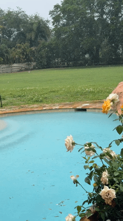 Rain creates ripples on backyard pool in Davie Florida