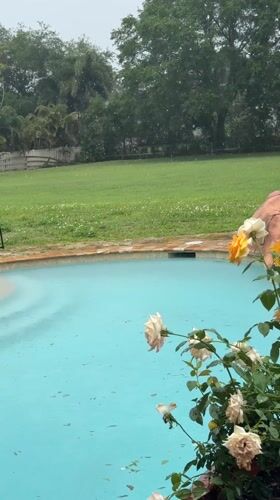 Rain creates ripples on backyard pool in Davie Florida