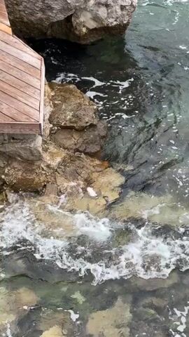 The video shows a close-up, overhead view of clear, turquoise water lapping against rocky shore and a wooden deck. The water is gently moving, creating small white waves as it hits the rocks. The sun is shining, reflecting off the water and illuminating the rocks beneath the surface. The scene appears to be a tranquil coastal setting, possibly a private dock or a secluded beach area. The presence of the wooden deck suggests human activity or access, but no people are visible in the frame. The overall mood is peaceful and serene, with the natural beauty of the water and rocks being the primary focus. The location context provided is Đurići, Montenegro, which aligns with the visual cues of a Mediterranean coastline. The time of day appears to be daytime, given the bright sunlight. There is no visible text in the media file.
