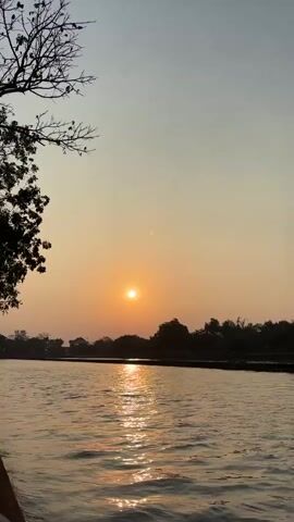 A wide shot captures a serene river at sunset. The sun, a bright orange orb, hangs low in the hazy sky, casting a shimmering golden path across the water's surface. The left side of the frame is dominated by the silhouette of a leafless tree with bare branches reaching upwards, contrasting with the darker foliage of a denser tree further down the riverbank on the right. The river itself shows gentle ripples, reflecting the warm hues of the sky and the sun. A dark silhouette of land, possibly a treeline and distant structures, forms the horizon. The overall mood is peaceful and tranquil, evoking the calm of the end of the day.