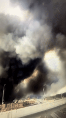 Smoke, city skies, and dogs in a single afternoon