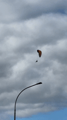 Paraglider over Kornevo draws ground-level attention on a September morning