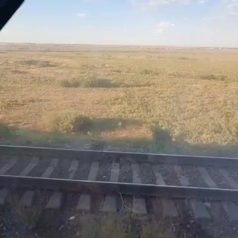 The video shows a view from a moving train. In the foreground are train tracks. The tracks are made of metal rails and wooden sleepers. Beyond the tracks is a wide, open field with dry, yellow grass and some green bushes. In the far distance, a faint line of buildings or structures can be seen on the horizon, and there are a few wind turbines visible in the distance as well. The sky is blue with scattered white clouds. The lighting suggests it is daytime, likely late afternoon or early morning due to the soft light.