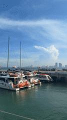 Morning waterfront visit captured in Đà Nẵng marina and cafes