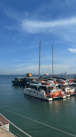 Morning waterfront visit captured in Đà Nẵng marina and cafes