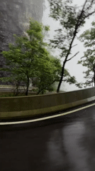 Foggy morning road conditions documented in Zhangjiajie