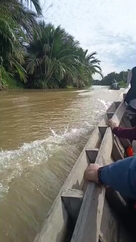 The video shows the perspective of someone riding in a wooden boat moving down a muddy river. The boat is on the right side of the frame, and the camera is angled slightly downwards towards the water. There are at least two people visible in the boat, holding onto the wooden sides. One person, wearing a blue jacket, is in the foreground on the right. Another person, wearing a red top, is further back. The riverbanks are lined with lush green palm trees and vegetation. The water is a murky brown color and creates a wake behind the boat. In the distance, another boat can be seen with a person on it. The sky is partly cloudy. The overall impression is of a peaceful journey through a natural, tropical environment.