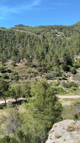 The video shows a scenic view of a forested valley under a clear blue sky. The landscape includes a mountain covered with dense trees, a lower area with a small river, and a sandy bank where a few people are gathered. The river's water appears shallow and clear. Power lines stretch across the sky above the trees. The camera angle is slightly elevated, offering a panoramic perspective of the tranquil natural setting.