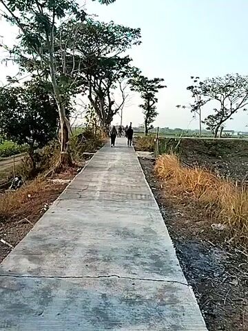 The video opens with a view of a concrete path extending into the distance. Several people are walking away from the camera on this path. The path is flanked by trees and dry grass on one side, and what appears to be farmland with rice paddies and banana trees on the other. The sun is visible in the sky, creating lens flare as it shines through the branches of a tree. The camera pans slightly to the right, offering a closer look at the vegetation and farmland. The overall scene depicts a rural landscape on a bright day.