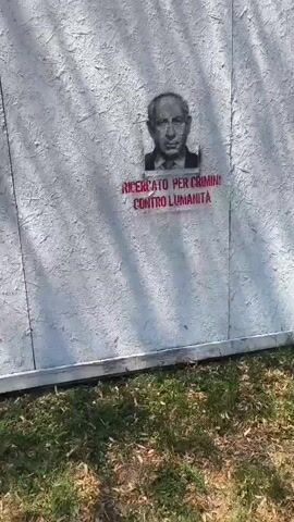 The media file displays a stencil artwork on a light-colored, rough-textured surface, likely plywood, which appears to be part of a temporary structure or barrier. The artwork features a portrait of a man, rendered in black and white, with his head and shoulders visible. Below the portrait, in bright red spray paint, is text in Italian. The image is predominantly illuminated by sunlight, casting shadows from an unseen object onto the surface, suggesting it is daytime. The ground in the foreground is covered with dry leaves and grass, indicating an outdoor setting.

The text, "RICERCATO PER CRIMINI CONTRO L'UMANITÀ," translates to "WANTED FOR CRIMES AGAINST HUMANITY." This implies the artwork is a political statement or protest, identifying the depicted individual as a war criminal. The style of the stencil and the bold red lettering convey a message of accusation and urgency. The man's portrait is somewhat stylized, focusing on his facial features. The overall tone is serious and accusatory, driven by the text and the implication of the image. The setting appears to be outdoors, possibly in a public space, given the nature of graffiti art. There are no other people or explicit objects visible besides the artwork and its immediate surroundings. The lighting suggests it could be late morning or early afternoon.