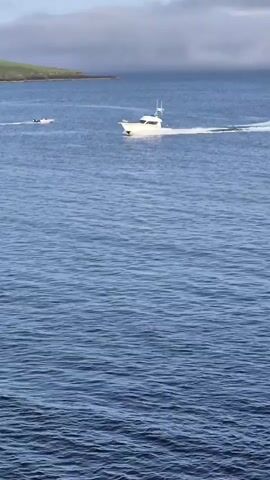 The video shows a wide shot of a calm, blue ocean with a white motorboat in the foreground, moving from left to right across the frame, leaving a white wake behind it. The boat appears to be traveling at a good speed. In the distance, to the left of the motorboat, another, smaller boat is visible, also moving. Beyond the boats, a green, hilly coastline is faintly visible under a cloudy sky. The overall scene suggests a day at sea, possibly for recreation or fishing. The water is slightly choppy, indicating a gentle breeze. The light suggests it's daytime, likely morning or afternoon, with the clouds creating a diffused light. The presence of the boats and the coastline point to a coastal location. No text is visible in the video.