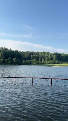 The video shows a calm lake with a distant treeline and a blue sky with a few wispy clouds. In the foreground, there is a metal railing partially submerged in the water. The water is rippling slightly, indicating a gentle breeze. The overall scene is peaceful and serene, evoking a sense of nature and tranquility.