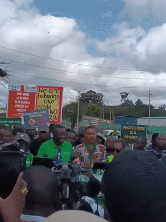 Environmental protesters rally in Nairobi over park conservation concerns
