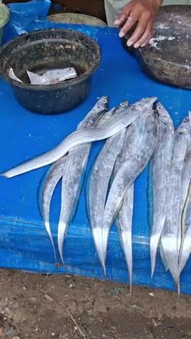 The video shows a market stall with a blue tarp covering the ground. On the tarp, there are several long, silvery fish laid out. In the background, a person's hands are visible near a large cutting board. To the right of the fish, there is an orange scale. Another person is partially visible on the far right of the frame. There is also a black bucket on the left side of the tarp. The fish appear to be the main focus of the stall.