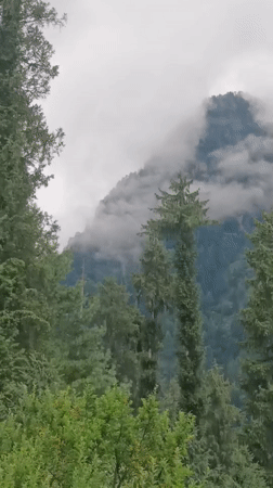 Manali's misty mountain forests and valley town on a monsoon morning