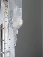 Dog receives IV treatment at Nairobi veterinary clinic