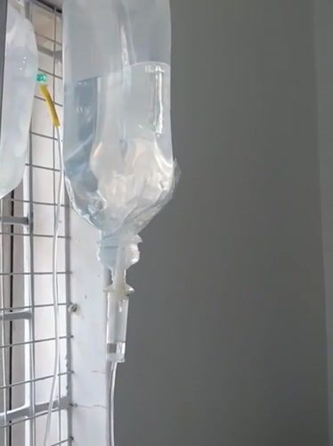 Dog receives IV treatment at Nairobi veterinary clinic