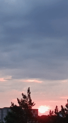 Midsummer twilight over Svietlahorsk's pine-ringed apartment blocks
