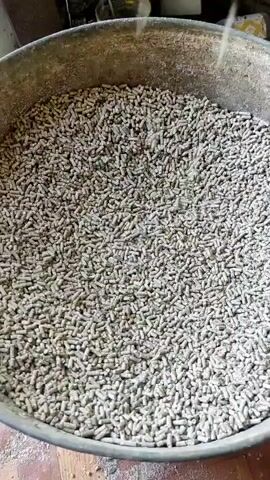 The media file shows a close-up view of a large metal tub filled with small, pelletized material, likely animal feed. The pellets are uniform in size and light brown in color, with some dust and debris visible on the surface. The tub is worn and appears to be made of a coarse metal, with some rust and age evident.

The camera then pans to reveal the surrounding environment. It appears to be an indoor space, possibly a shed or workshop, with a rustic and cluttered setting. Wooden planks, tools, and various containers are visible in the background, suggesting a functional workspace. There are some hints of outdoor elements, such as what appears to be a wooden floor or ground outside the immediate workspace.

The activity taking place is not explicitly shown, but the context of the feed in the tub and the presence of what looks like a pelletizer or a related piece of machinery in the background suggests a process of creating or preparing feed. There are no people visible in the media file. The lighting suggests it could be daytime, but there are no strong indicators of natural light or weather conditions. The overall impression is one of a practical, perhaps agricultural or animal husbandry, setting in a rural or semi-rural location, likely in Ukraine given the location context provided. The scene is functional and utilitarian, with no indication of specific emotions or time of day beyond it being daylight.