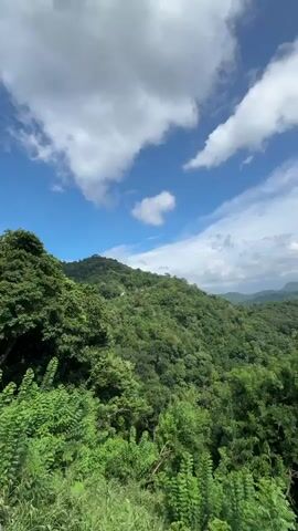 The video shows a vibrant, green mountain range under a partly cloudy, blue sky. The mountains are densely covered in lush trees and vegetation, stretching out into the distance. The sky contains a mix of puffy white clouds and patches of clear blue. The camera slowly pans across the landscape, revealing more of the verdant expanse.