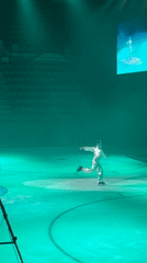 Business festival in Khabarovsk blends keynote speakers with ice performance