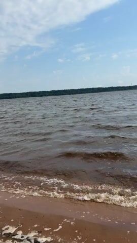 A video shows a view of a body of water with a sandy shore. The water is dark brown with small waves and white foam near the shore. The sky is light blue with a few white clouds. A line of trees is visible in the distance across the water. There are no people or animals visible.