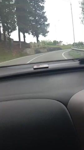 A dashcam view shows a car driving on a winding road with trees and greenery on either side. The sky is overcast. There are other vehicles on the road, and traffic signs indicating sharp turns. The car appears to be moving at a moderate speed.