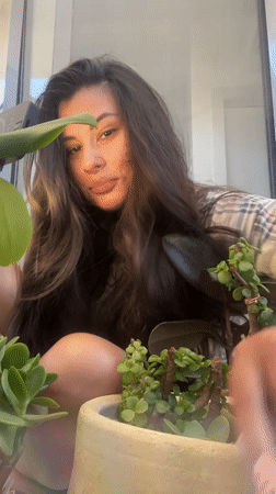 Woman displays potted plants collection in Kiryat Bialik home