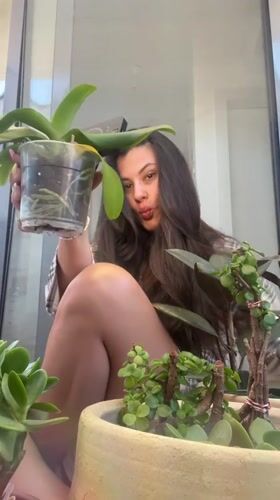 Woman displays potted plants collection in Kiryat Bialik home