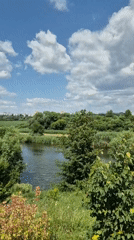 Off-road riding and wildflowers along the fields of Bila Tserkva