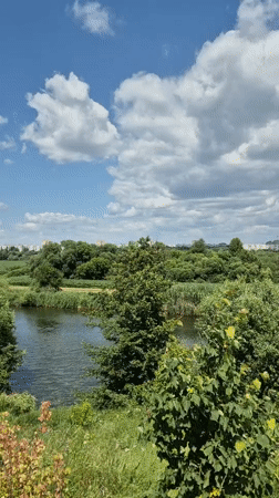 Off-road riding and wildflowers along the fields of Bila Tserkva