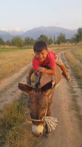 A boy is riding a donkey on a dirt road. The boy is wearing a red shirt and grey shorts. The donkey is brown and has a white patch on its face. The boy is smiling and hugging the donkey. The road is surrounded by grass and trees. In the background, there are mountains. The sun is setting.
