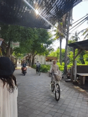 Horse carriage spotted on Indonesian brick street