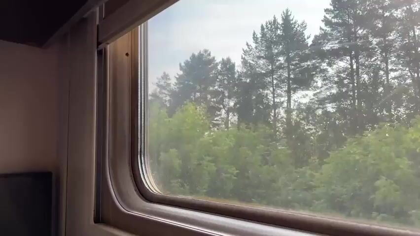 A window on a moving train shows a blur of green trees and a hazy sky. The window frame is visible in the foreground, with a dark shade pulled up on the left. Inside the train car, part of a seat or storage compartment is visible on the left, with some numbers and text printed on it. The lighting suggests it is daytime.