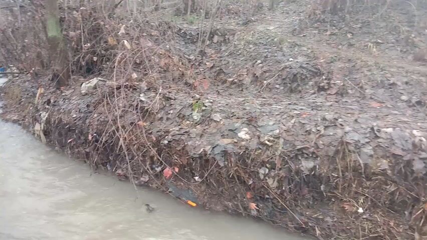 The video shows a narrow, shallow stream flowing through a wooded area. The water is murky and a light grey color. The stream banks are lined with fallen leaves, bare bushes, and bare trees. Trash is visible along the banks, including pieces of plastic and other debris. The camera appears to be positioned slightly above the stream, looking downstream. The scene is quiet and undisturbed.