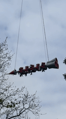 Squirrels forage near carnival ride in Saint Petersburg park