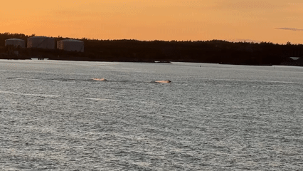 Summer evening on the water near Nynäshamn's archipelago