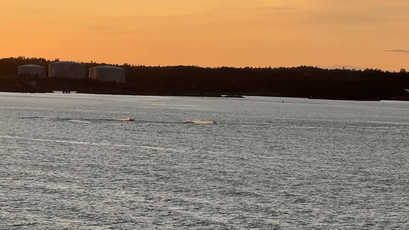 Summer evening on the water near Nynäshamn's archipelago
