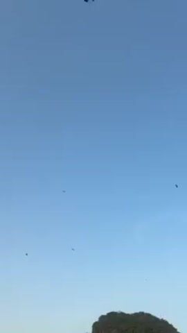 The video shows a clear, blue sky with several small, dark shapes flying in it. These shapes appear to be birds. In the bottom of the frame, there's a small, green, tree-covered hill or island. The view is relatively static, with only the birds in motion.