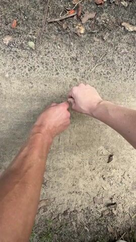 The video shows two people's hands drawing a heart shape in the dirt with a twig. The setting appears to be outdoors, possibly in a park or wooded area, with fallen leaves and branches visible on the ground. The ground is a mixture of dirt and sand. The lighting suggests it's daytime, and the weather appears to be mild. The overall emotion conveyed is one of connection and shared activity. There is no visible text in the video.