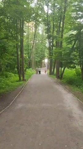 The video shows a dirt path through a forest. Trees line both sides of the path, with lush green foliage creating a dense canopy overhead. The path is wide and appears well-maintained. In the distance, several people are walking along the path. One person appears to be pushing a stroller. The overall scene is peaceful and serene, suggesting a quiet day in the park.
