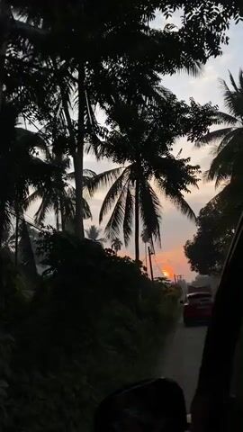 A video shows a view from inside a vehicle, looking out at a rural road lined with palm trees during sunset. The sky is a soft orange and white, with clouds. A red car is visible driving down the road. A small house is also seen amongst the trees on the left side of the road. The scene is dark due to the sunset, with the palm trees silhouetted against the sky.
