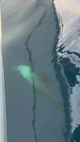 The camera is positioned at the edge of a white boat, looking down into the clear blue water alongside. The water surface reflects rippling patterns of light, creating wave-like designs on the boat's side. The reflection is somewhat distorted, but at least one person appears to be visible in it.
