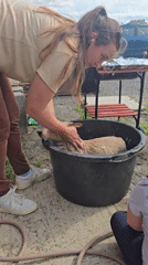 Dog bath day in Tournai with helping hands