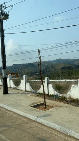 Morning drive through landscaped Bo Y reveals ornate fencing