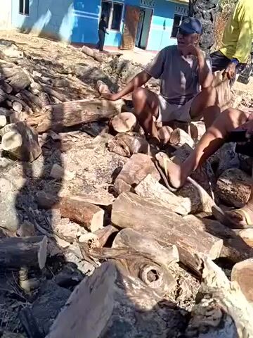 The video shows three men sitting on logs outdoors. The man on the left is wearing a gray t-shirt and shorts and a blue cap. The man in the middle is wearing a light-colored t-shirt and shorts. The man on the right is wearing a t-shirt and shorts. There is a blue building in the background and some trees and motorcycles. The men appear to be talking to each other.
