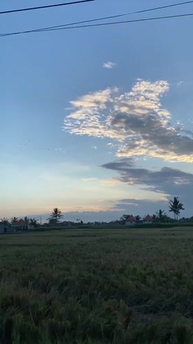 Dusk settles over Tegallalang's rice paddy roads